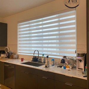 Tùy Chỉnh Màu Đen <span class=keywords><strong>out</strong></span> Rèm Con Lăn Màn Bóng Rèm Cửa Ngựa Vằn Rèm Cho Cửa Sổ - Product Image 4