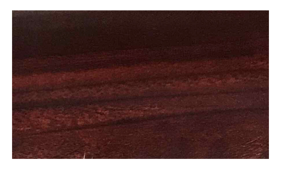 legno di sandalo rosso