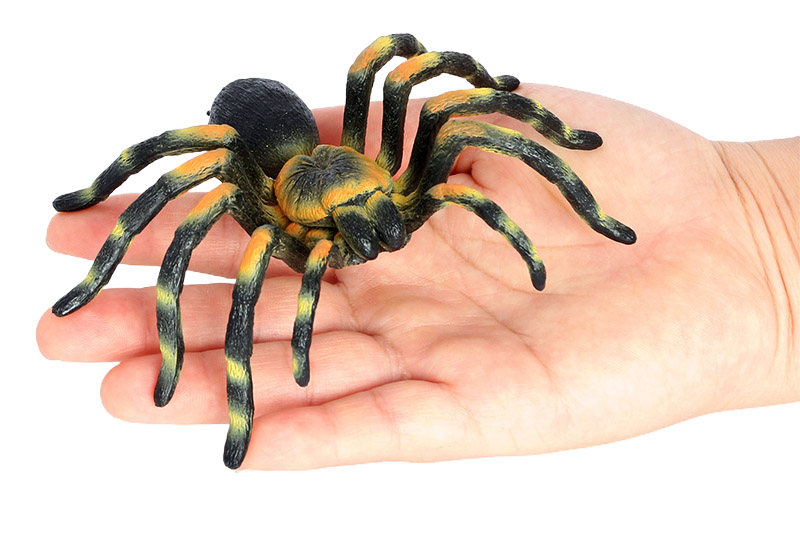 2632 Araignée tarentule