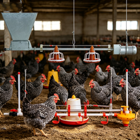 Nouvel équipement d'élevage au sol pour poulets de chair, système d'alimentation automatique pour volailles, mangeoire à plateau et ligne d'abreuvement par pipette, garantie 1 an