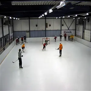Kunststoff-Hockey fliesen synthetische Paneele Indoor-Eislaufen