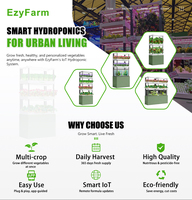 Kit de agricultura hidropónica de interior familiar para una vida saludable