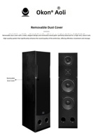 Amplificateur karaoké Bluetooth OK-2650, ensemble d'enceintes colonne 3 voies double 8 pouces OK-2860 avec télécommande