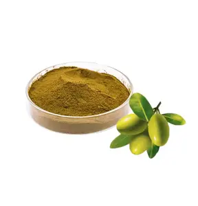 Supply Olive Leaf Extract High Quality Free Sample Olive Leaf Extract On Sale