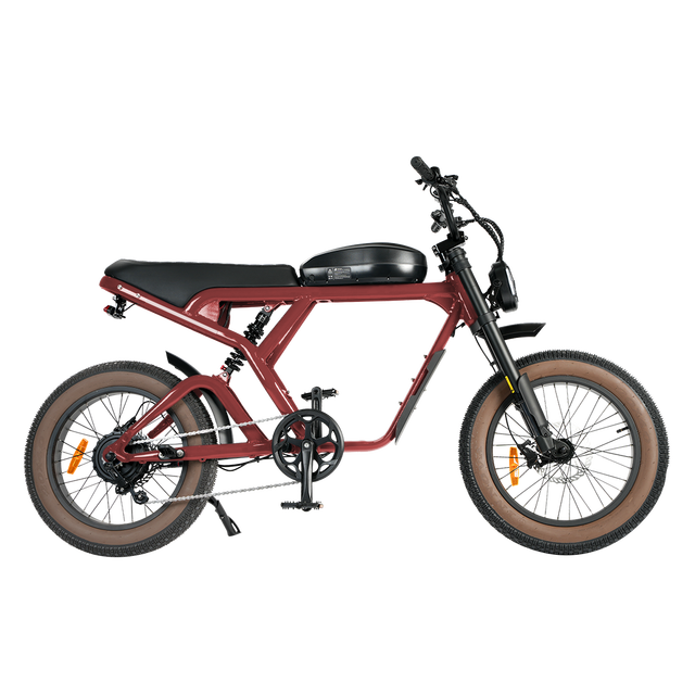 High Qualituy Big Power 52V 750w Hybrid Full Suspension System off Road E-Bike Rear Hub Motor Fat Tire Electric EBike