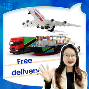 Transporteur transitaire LCL + Express mer et Air à bas prix depuis la Chine vers Tripoli Libye Tanzanie <span class=keywords><strong>Seychelles</strong></span> DDP - Product Image 6