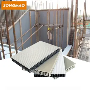 SONGMAO-Panel de plástico para hormigón, pieza de bloque de pared hueca de PP reutilizable, 2022, 50s