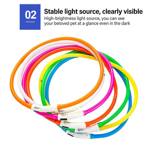 Collier LED Lumineux Réglable pour Chien, Rechargeable, Anti-Perte, Harnais Lumineux Nocturne en Nylon avec Fonction Clignotante - Product Image 4