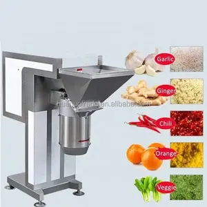 Industrial electric garlic mill efficient vegetable crusher