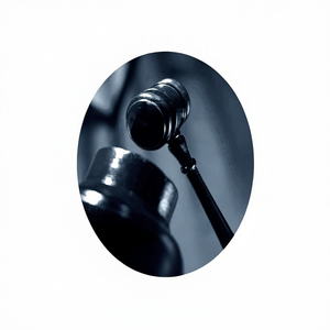 กฎของหลักฐานของรัฐบาลกลางสำหรับการสอบแถบสำหรับหนังสือเตรียมและการปฏิบัติตามกฎหมายโดยเพียงแค่สื่อ - Product Image 1