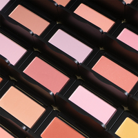 Palette de fard à joues multicolore imperméable KILLFE, palette de fard à joues minéral vegan, fard à joues en poudre, fard à joues en marque privée