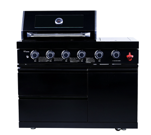 Cuisine extérieure de luxe, grils BBQ, armoires, table de <span class=keywords><strong>barbecue</strong></span> coréen avec brûleur à gaz, fours et grilles de <span class=keywords><strong>barbecue</strong></span> - Product Image 6