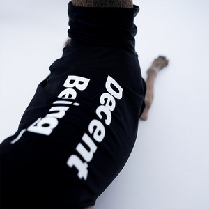 Chaleco <span class=keywords><strong>Deportivo</strong></span> YDC para Perros, para Todas las Estaciones, de Seda Helada, Ligero, de Alta Elasticidad, para <span class=keywords><strong>Galgo</strong></span> Italiano, Whippet y Bellington - Product Image 1