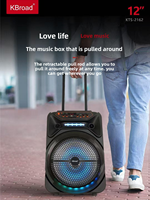 Microphone USB Alimenté par USB pour la Maison, le Camping, le Karaoké, l'Audio en Direct, le KTV, le Téléphone Portable, Haut-parleur Bluetooth Portable