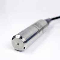 Capteur de niveau submersible pour puits profond en acier inoxydable 30M 50M 100M avec protection IP68 pour réservoir d'eau