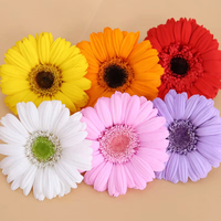 Großhandel Echte Natürliche Konservierte Gerbera-Gänseblümchen-Blütenköpfe für Hochzeits-Tischdekoration, Party-Tischdeko, DIY, Muttertag, Ostern
