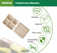 Plateau alimentaire biodégradable en pulpe de bagasse de canne à sucre avec couvercle, plateau de 9 pouces avec couvercle en pulpe PET