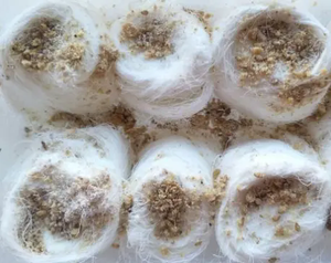 เครื่องทำขนมสายไหมราคาโรงงาน เครื่องทำขนมไหมพรม เครื่องทำขนมปิสมาเนีย เครื่องดึงขนมสายไหม - Product Image 4