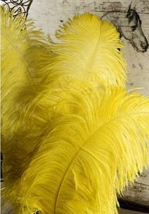 Pièce maîtresse de décoration de fête en plumes d'autruche - Product Image 6