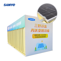 Conteneur frigorifique solaire de 20 pieds de haute qualité avec moteur Sanyo, chambre froide écologique pour viande, fruits et légumes