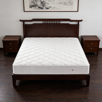 Colchón de Lujo Queen Size con Núcleo Grande de Muelles de Acero y Tejido de Punto, Diseño Moderno para Hotel, Apartamento, Hospital, Parque, Dormitorio