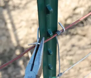 Giá Rẻ Hàng Rào T Bài Viết 250Cm 6 Chân Đen T-Bài 6ft Studded T Bài 1.33 Cho Bán - Product Image 4