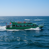 Ferry en fibre de verre Grandsea de 19,8 m, 70 places, état neuf, pour le transport du personnel, type de carburant diesel
