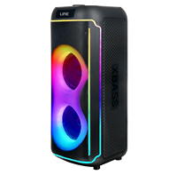 Vente chaude Super Bass 6.5 pouces Subwoofer Haut-parleur 40W Haut-parleur karaoké avec micro Haut-parleur personnalisé Système de karaoké Son