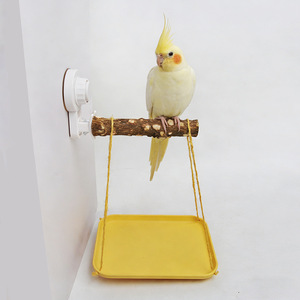 Support de mastication pour perroquets avec ventouse et plateau à excréments pour perroquets de petite à moyenne taille - Product Image 3