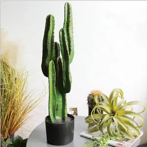 Venta al por mayor cactus de pantalla-Accesorios de exhibición de ventana, adorno de Interior para el hogar y la Oficina, plantas de imitación, cactus falso en maceta