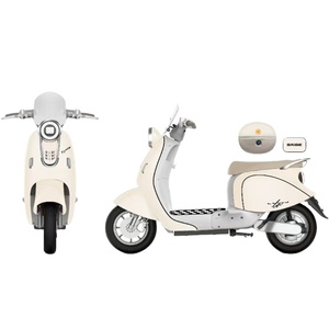 Motocicleta Eléctrica Saige de <span class=keywords><strong>2</strong></span> Ruedas, Color Rojo Cappuccino, Negro, Verde, Rosa, Dorado, Verde Plateado, con Batería de Plomo-Ácido o Litio - Product Image 5