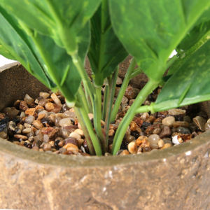 G62/G72/G76/G77 Vente en gros de plantes artificielles <span class=keywords><strong>bonsaï</strong></span> en <span class=keywords><strong>pot</strong></span> pour le jardin extérieur, la maison et le bureau. - Product Image 3