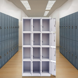 Tùy chỉnh 12-swing cửa thép <span class=keywords><strong>Locker</strong></span> với khóa chính bền gõ xuống cấu trúc để sử dụng ngoài trời trong các trường học phòng tập thể dục văn phòng - Product Image 6