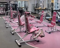 Équipement d'entraînement pour circuits hydrauliques : Machine à curls biceps / presse triceps, Chaise d'entraînement de gym pour femmes