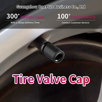 Capuchon de valve de pneu solide universel personnalisable couvre-tige anti-poussière pour voitures camions vélos motos vélos