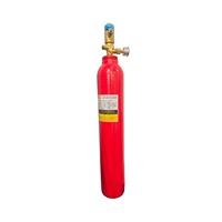 Sistema de Extinción de Incendios con Tubo de Detección de CO2 FM200, Sensor de Temperatura, Cilindro Rojo de 3 kg de Capacidad