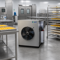 Machine de séchage de durian à pompe à chaleur, déshydrateur de fruits pour les chips de durian thaïlandais