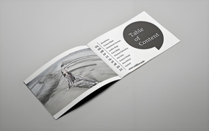 Bulk Custom Full-Color Catalog, Magazine, Book Printing - High-Quality Glossy Brochure Production At Competitive Prices China - Product Image 6