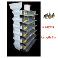 Vente en gros : Nouvelles cages à cailles de type H à 6 niveaux, en maille, en plastique, pour usage domestique et production d'œufs, adaptées aux élevages de poulets et autres cages pour animaux.