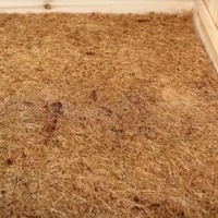 JIATAI de haute qualité 100% coussins de nidification de poulet en fibre de noix de coco naturelle coussins de nidification confortables pour poule
