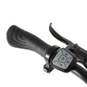 Vélo cargo électrique puissant avec logo personnalisé, 48 V, 15,6 Ah + 20 Ah, deux batteries, avec panier - Product Image 5