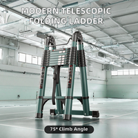 Échelle télescopique et pliante en aluminium au design moderne pour les sites sportifs, capacité de charge de 150 kg, échelle industrielle multifonctionnelle