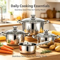 Ensemble de casseroles JL-cookware de style américain en acier inoxydable écologique moderne, avec couvercle en verre, sans revêtement, compatible lave-vaisselle