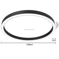 Profilé en aluminium T5-6063 pour éclairage LED circulaire de plafond commercial, couleur noir argent, pour décoration intérieure