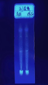 天然ハーブトリビュラス・テレストリス根エキス90％サポニン粉末価格 - Product Image 3