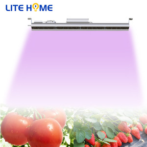 Lámparas de cultivo hortícola, Kits de luz <span class=keywords><strong>LED</strong></span> para tienda de cultivo artesanal, invernadero de 200W, espectro completo, luz COB hidropónica - Product Image 3