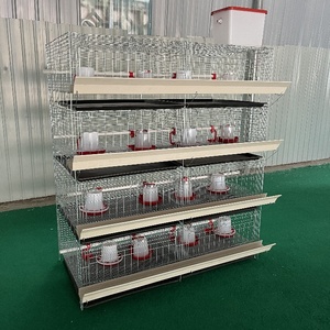 Éleveuse de poussins économique pour l'élevage de volailles et d'animaux, idéale pour les poussins de chair et les poussins de petite taille - Product Image 4