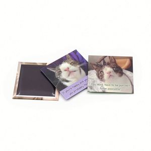 Custom High Quality Metal Photo 3D Cute Kitten Refrigerator Magnets Tourist Souvenir Tinplate <b>Fridge</b> Magnet - Product Image 2