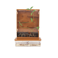Jouets éducatifs en médecine des plantes de la Nature, Kit scientifique de visualisation des racines pour enfants, jouet de croissance des plantes pour enfants