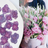 Segnalibro con Fiori Essiccati di Ortensia Doppia in Rilievo, Decorazione per il Viso con Fiori Essiccati, Herbarium